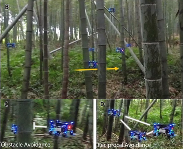 Images from Science Robotics journal article showing autonomous swarm transiting a bamboo forest via an AI-optimized trajectory while avoiding obstacles and inter-swarm drones