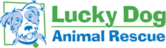 Lucky Dog Animal Rescue