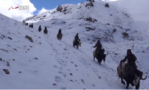 PLA mounted Yak patrol from the Khunjerab Border                                        Defense regiment, 4,300-meter elevation.